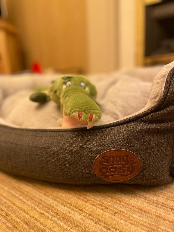 Snug and Cosy Pets Charcoal Softie Bed