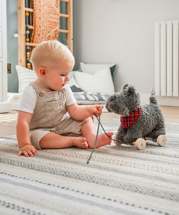 Little boy sat with scottie dog toy pull along toy