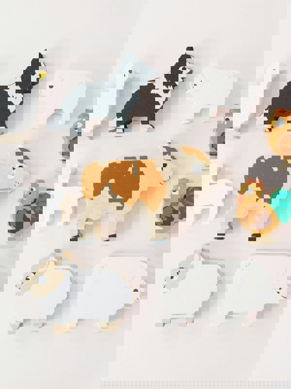 TOYA4014_MULTICOLOURED_3