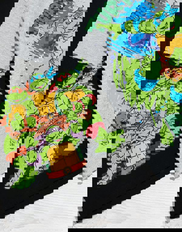 Teenage Mutant Ninja Turtles Boys Multicoloured Multi Character Multi-Pack of 2 Short-Sleeved T-Shirts