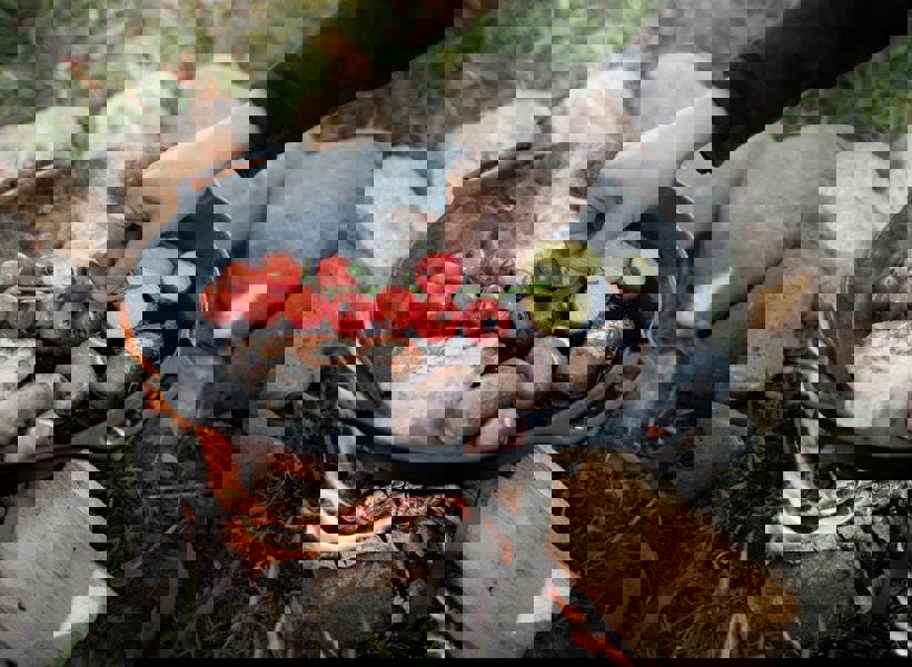 Petromax Cast Iron Fire Skillet with Two Handles