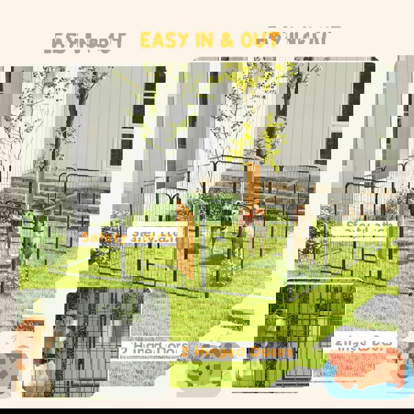 D06-141V01GY