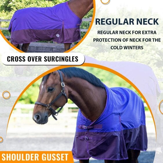 eQuitack 600D Outdoor Winter Lightweight Waterproof Horse Turnout Rug 0g No Fill Regular Neck Nylon Lined Double Buckle Purple/Plum