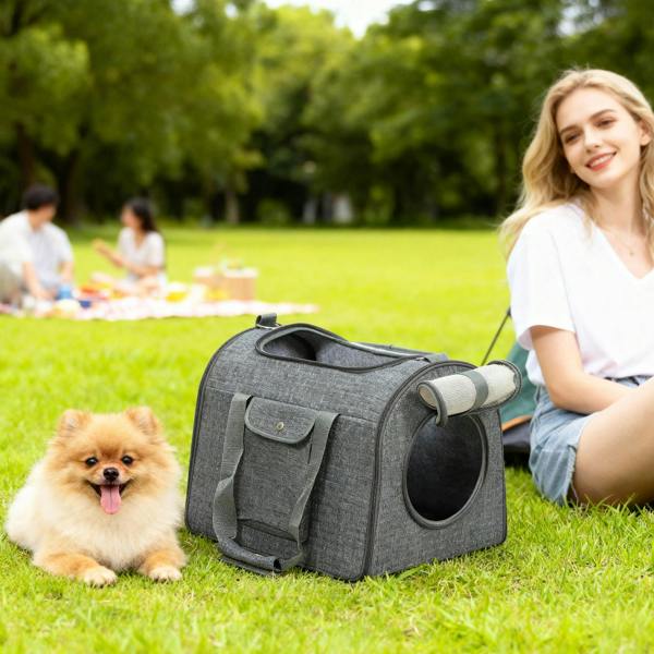 Pet Carrier Bag