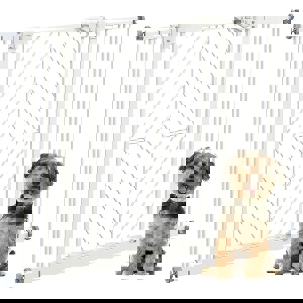 D06-213V01WT