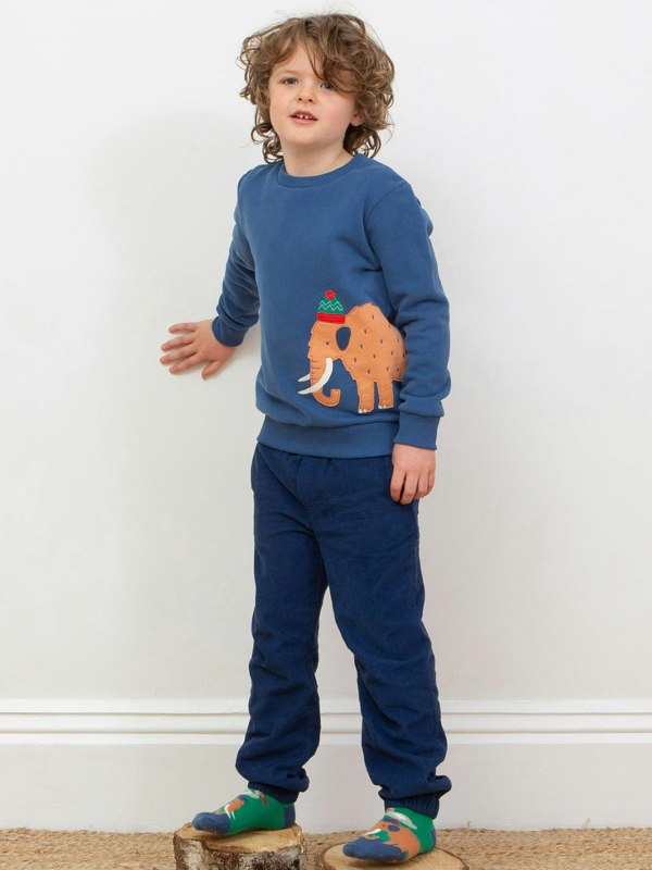 Kite Boys Organic Woolly Mammoth Sweatshirt