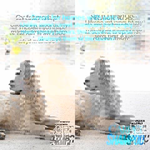 Mylek Pro-Kleen Professional Carpet Shampoo - Citrus Fragrance 5L - High Concentrate Cleaning Solution