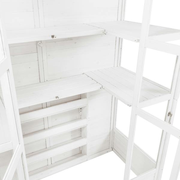 Spacious white Victorian greenhouse interior with wooden shelves, featuring a clean, minimalist design and ample natural light