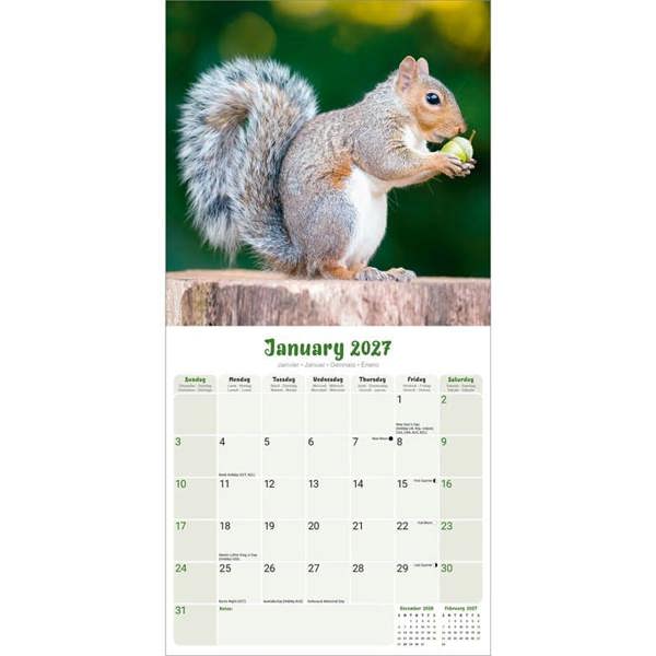 Squirrels Calendar 2027, Wall Calendars, Month To View, Animals, Gift