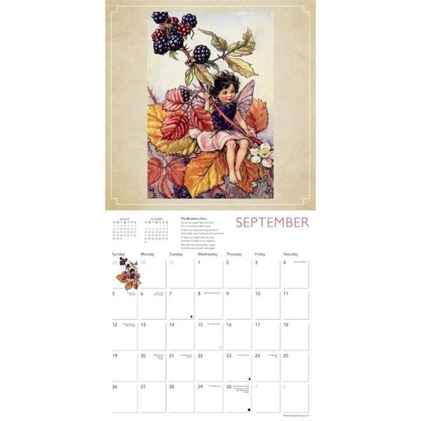 Flower Fairies Calendar 2027, Wall Calendars, Month To View, Art, Gift