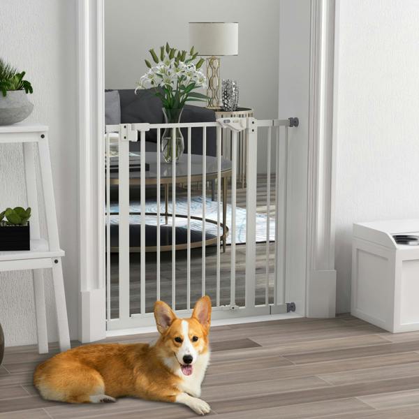 Pet Gate
