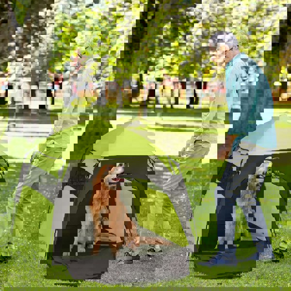 D00-178V00MX