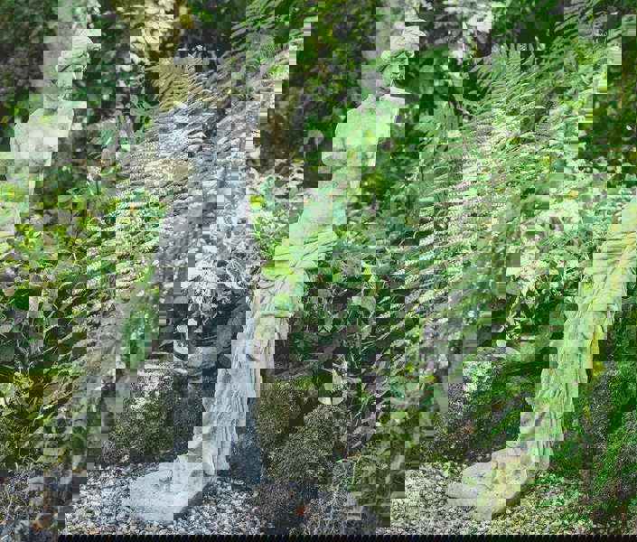 Medium Venus Style Classic Stone Cast Garden Ornament Statuary