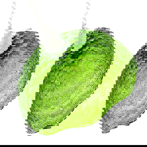 Tortoise Designed Emerald Green Glass Textured Ceiling Light Shade Image 3