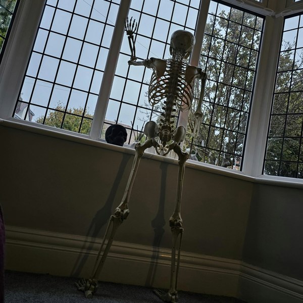 Samuel Alexander Pack of 4 5ft (150cm) Posable Full Body Halloween LED Skeleton Decoration with Movable Joints and LED Eyes