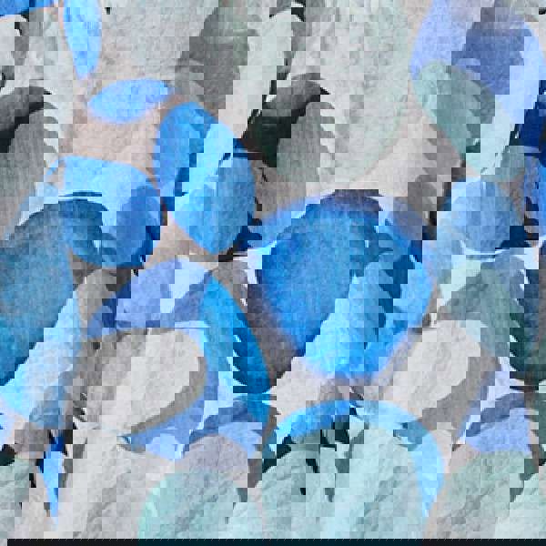 Blue | Printed 1/2 Sleeve Curve Hem Blouse