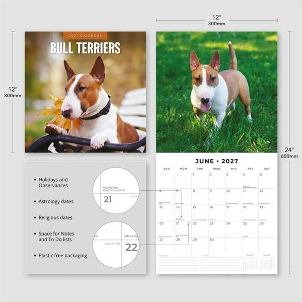 Bull Terriers Calendar 2027, Wall Calendars, Month To View, Dogs, Gift