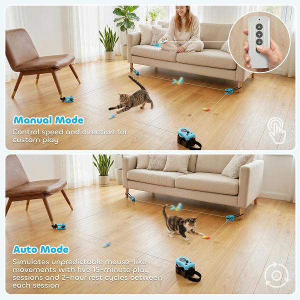 Cat Toys