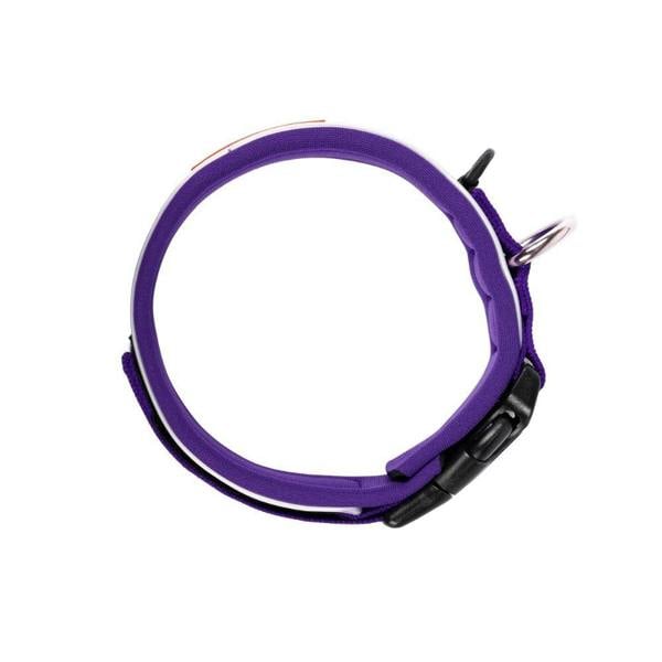 EzyDog Neo Classic Dog Collar in Purple