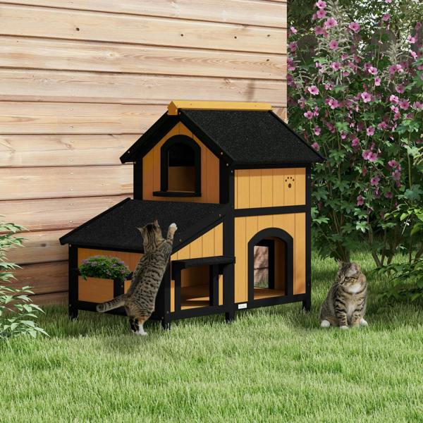 Cat House