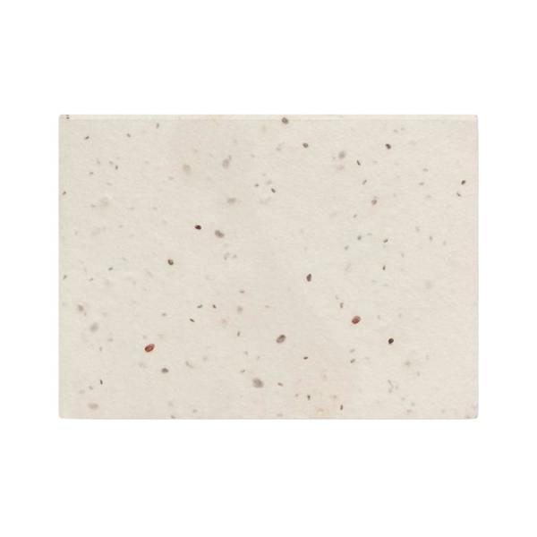 MidOcean Grow Me Seed Grass Paper Memo Pad - White - 