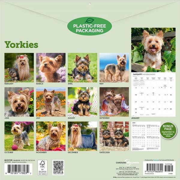 Yorkshire Terriers Calendar 2027, Wall Calendars, Month To View, Dogs, Gift