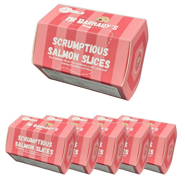 Mr Barnaby's Scrumptious Salmon Slices Dog Treats (Pack of 6)