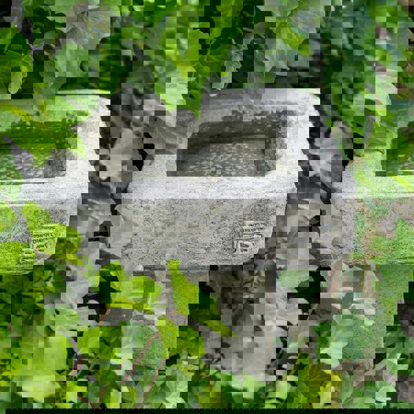 Stone Cast Plain Low Square Birdbath 25 cm Tall