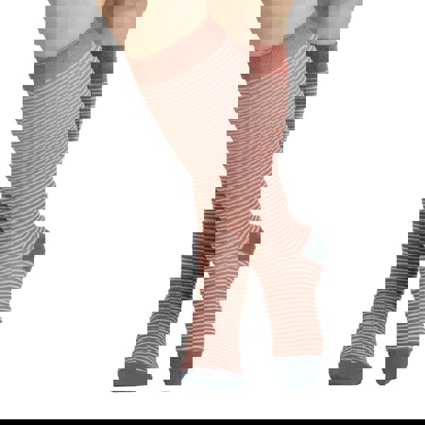 t4option1_1