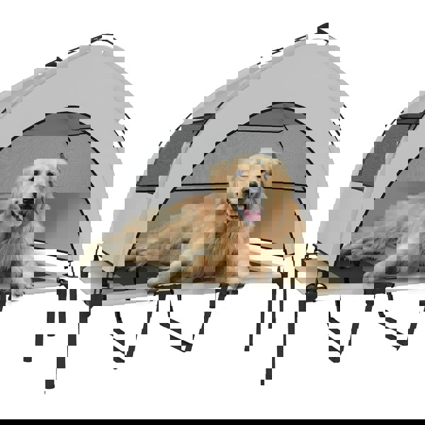 D04-304V02LG