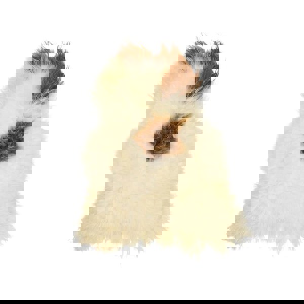 Icelandic Sheepskin | Long Wool | 100-120 cm Spotted