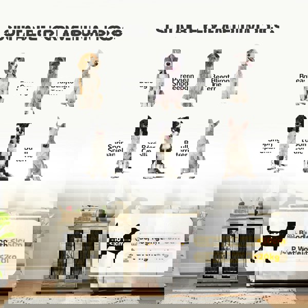 D02-193V70GY