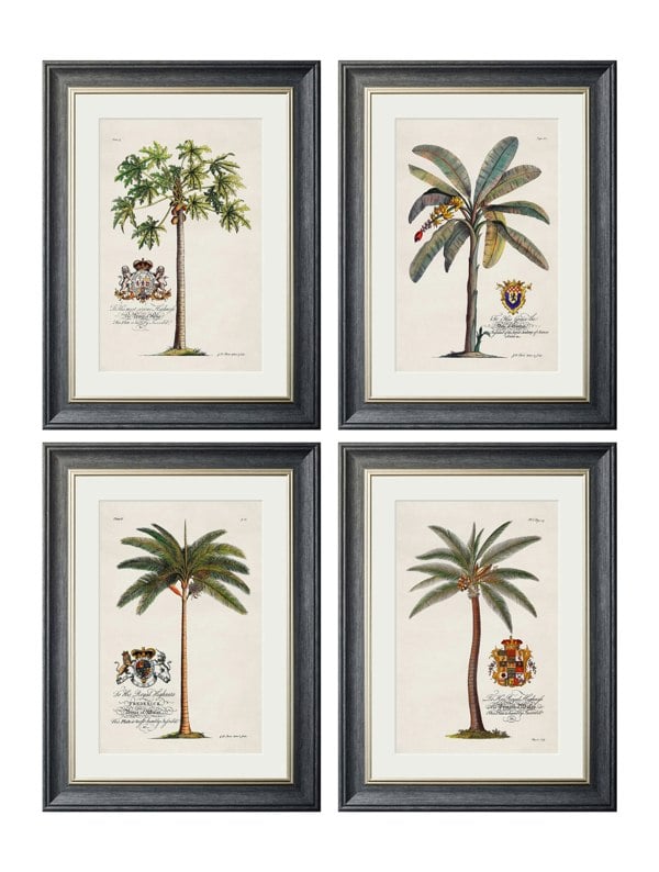 Exceptional Art Studies of Palms