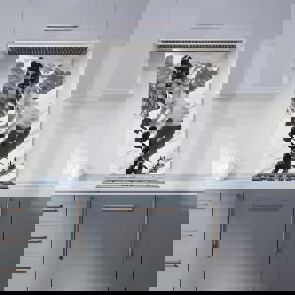 Warren Reed - Designer Vintage Skiing Chic Kitchen Splashback