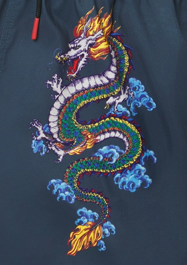 BOARDIES Shenlong