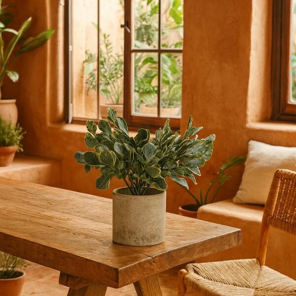 Wyld Haus Small Artificial Giana Eucalyptus Plant In Grey Ceramic Pot