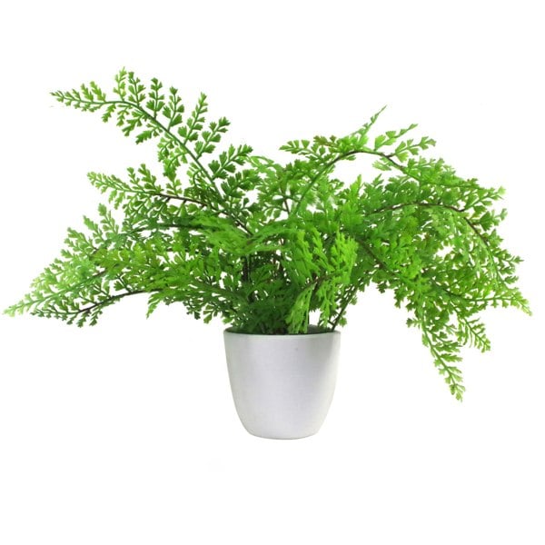 Leaf 30cm Artificial Potted Royal Fern