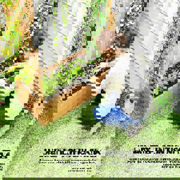 Multi-functional Garden Bed