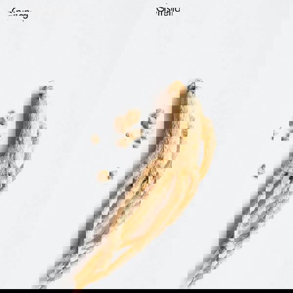 La Biosthetique Fortifying Scalp Concentrate