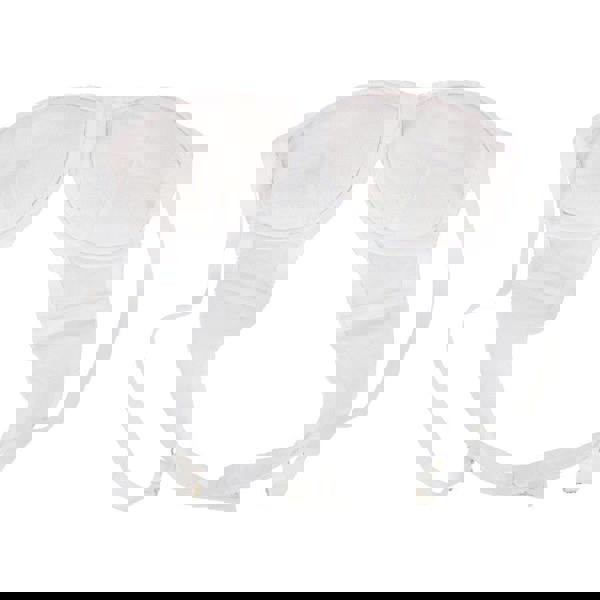 Little Women Amour Bra Non Wired and Padded