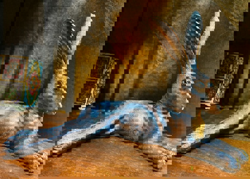 Inspirational Gifting Laying Hare Garden Sculpture Ornament Decor