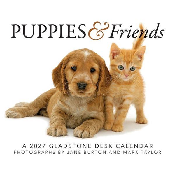 Puppies & Friends Desk Calendar 2027, Desk Calendars, Day To View, Dogs, Gift