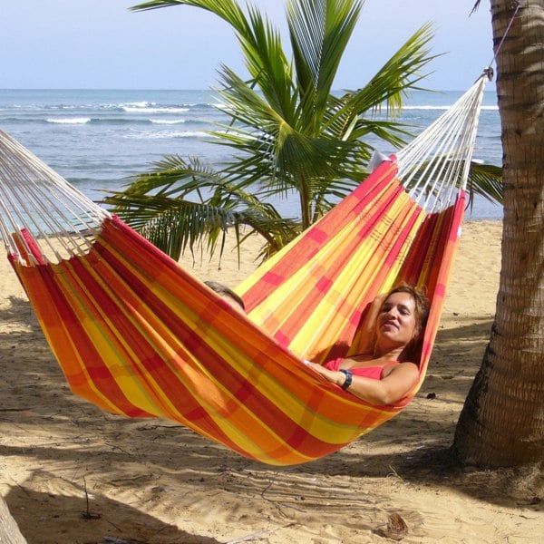 Amazonas Barbados Papaya Hammock