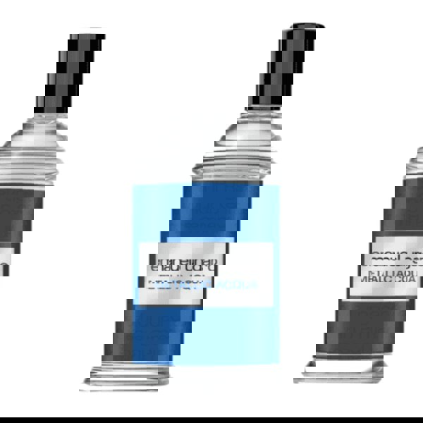 Emanuel Ungaro Men's Aftershave Emanuel Ungaro Metallic Acqua Men Eau de Toilette Men's Aftershave Spray (50ml)