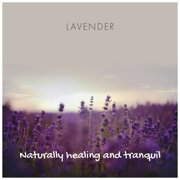 Friendly Soap - Natural Soap On A Rope - 'Classic' Lavender - 125g