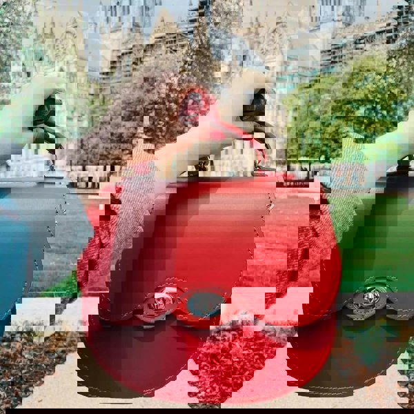 Zatchels Handmade Leather Twist Lock Saddle Bag - Red