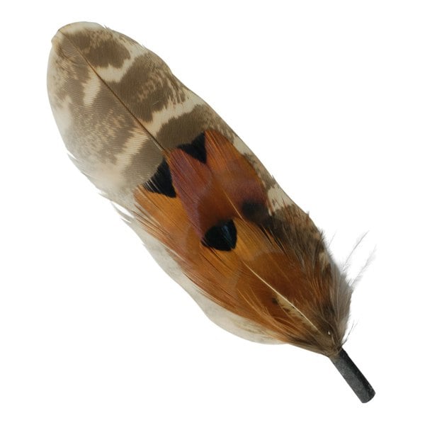 Gamble & Gunn Feather Mounts - Collection of 8 (Pack B)