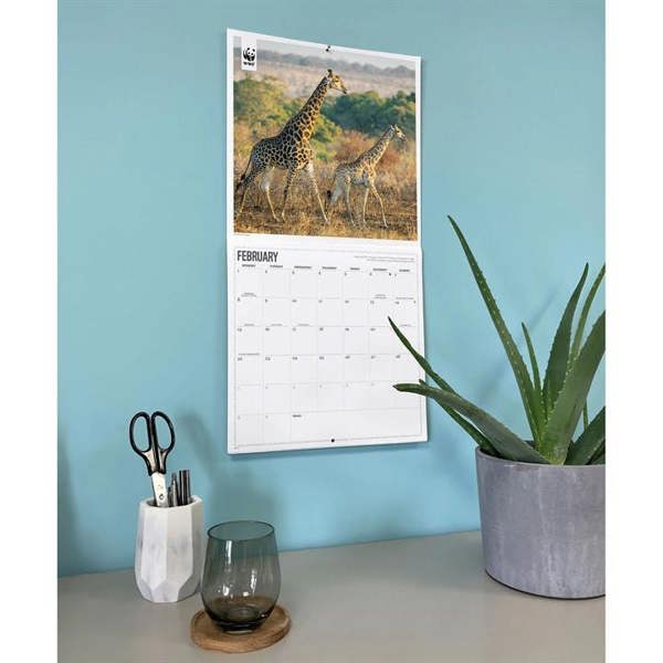 WWF, Giraffes Calendar 2027, Wall Calendars, Month To View, Animals, Gift