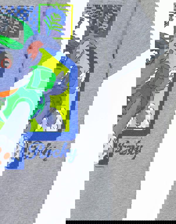 Paw Patrol Boys Grey Rocky Short Sleeved T-Shirt