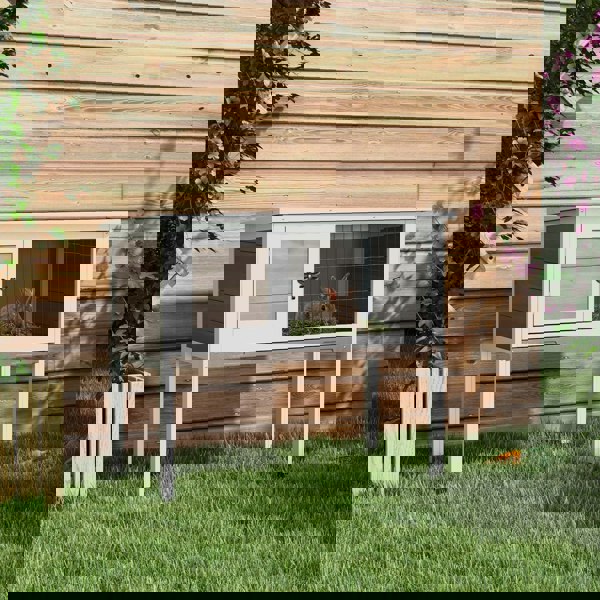 D51-119V00BN